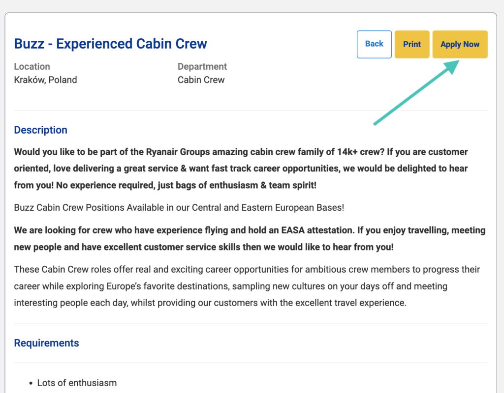 Ryanair Cabin Crew job description.